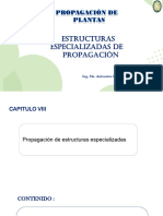 Clase 14. Estructuras Especializadas.