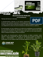 Bioestimulacion Radicular - SMEAP PDF