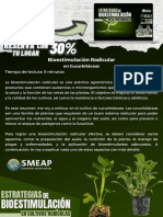 Bioestimulacion Radicular - SMEAP.pdf