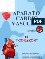 Diapositivas Anatomia (Cardiovascular)