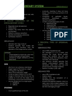 Integumentary System PDF 2