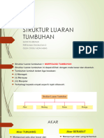 Struktur Luaran Tumbuhan PDF