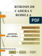 Expo Artrosis Rodilla Cadera