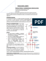 Fisiología Todo