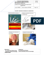 Practica Vias de Inoculacion y Sangrado en Animales de Laboratorio PDF