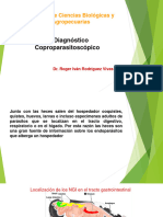 Diagnostico coproparasitos (2) (1)
