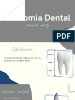 Anatomía Dental Conceptos