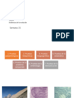 Semana 15 Evidencias de La Evolución