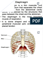 Diaghragm