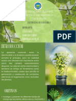 Plants and Their Systems Science Presentation in Light Brown Light Blue Flat Graphic Style PDF
