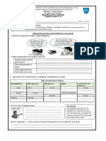 4 Practica Caracteristicas y Cualidades