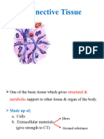 Connective Tissue (General)
