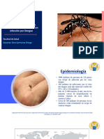 1 Dengue
