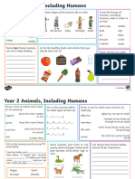 Year 2 Animals Including Humans Revision Activity Mat