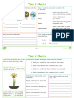 Year 2 Plants Revision Activity Mat