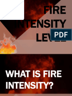 DRRR Fire Intensity Level