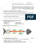 Evaluare Sumativa Cl. 5