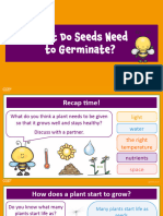 What Do Seeds Need to Germinate (Year 2)_S1PAT55
