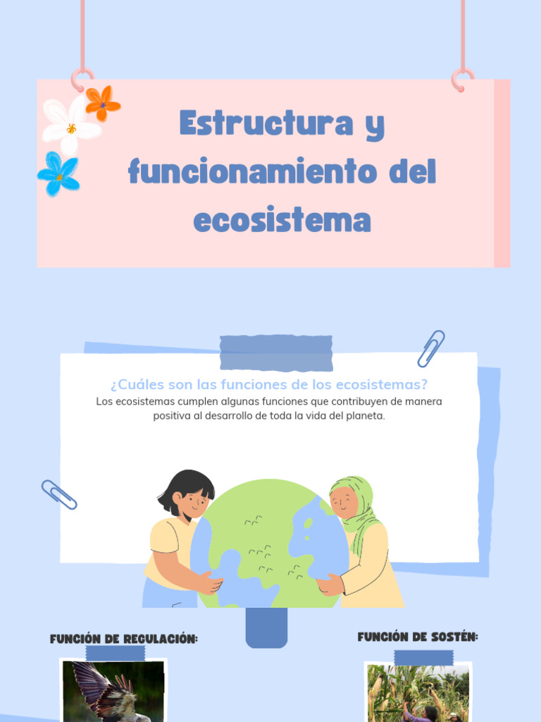 Estructura y funciones de los ecosistemas | PDF | Ecología | Ecosistema