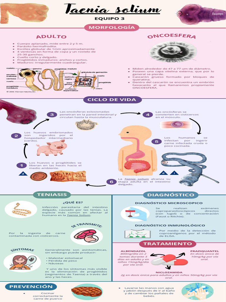 Infografia de Taenia Solium, Eq. 3 | Descargar gratis PDF ...