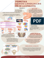 Infografia Faringe Primitiva