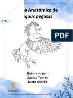Atlas Anatómico de Equus Pegasus