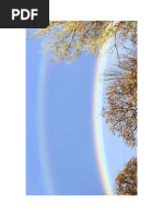 IMG_2536-211008-072808