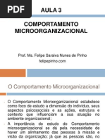 Aula 3 - Comportamento Microorganizacional