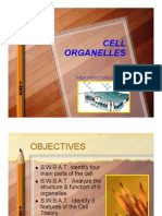 Cell Organelle