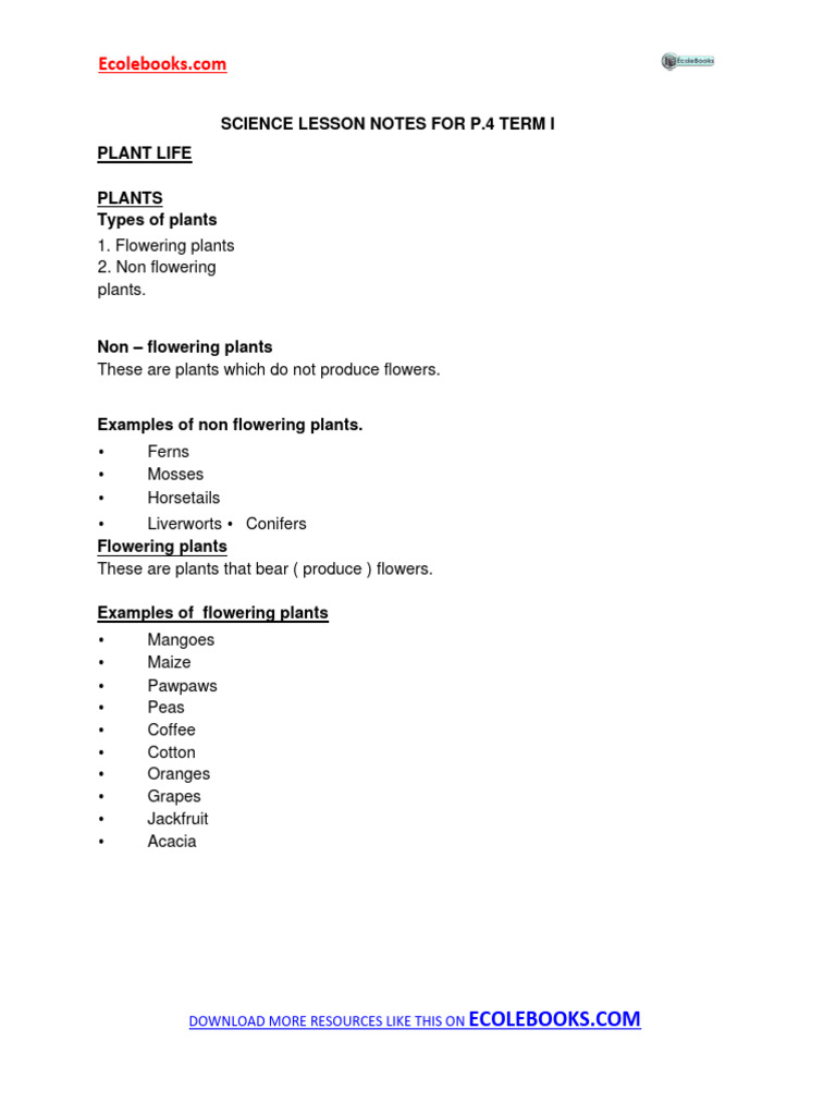 Science Notes on Plant Life for P.4 | PDF | Leaf | Seed