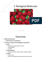 Carbohydrate Lecture