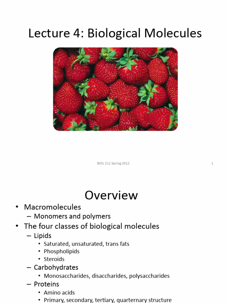 Overview of Biological Molecules | PDF | Carbohydrates | Macromolecules