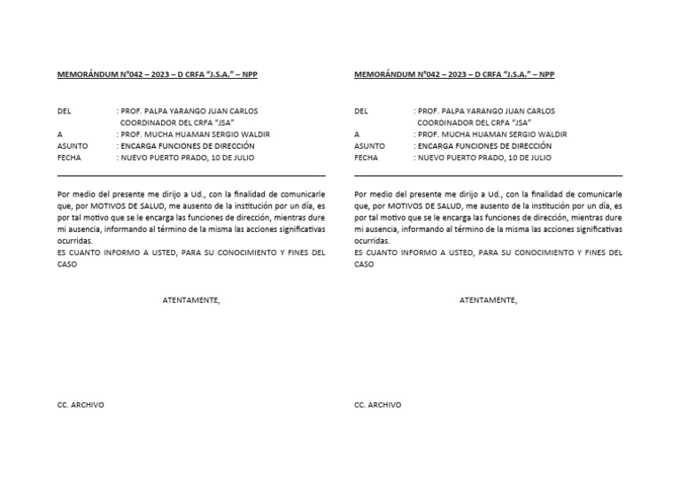 MEMORÁNDUM ENCARGATURA DE FUNCIONES | PDF