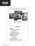 06percepcao