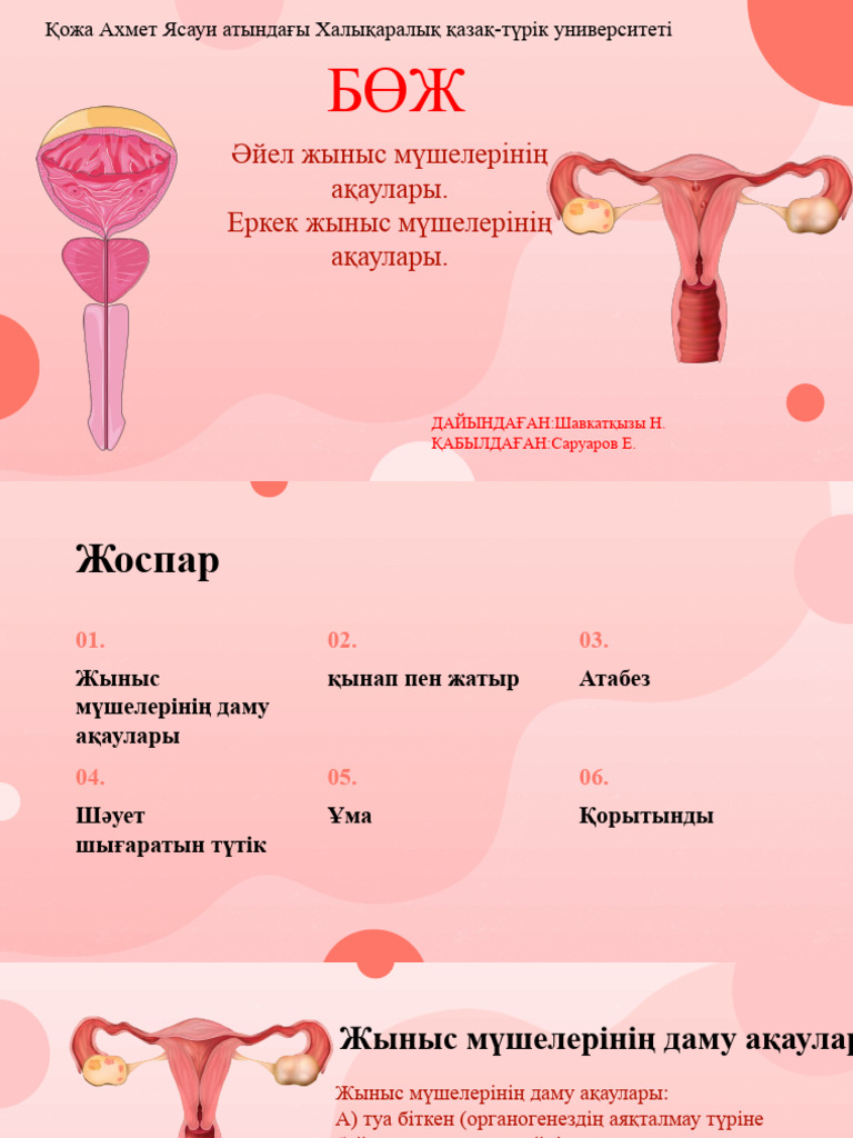 Омбыдағы эротикалық фотолар мен бейнелер