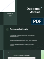 Duodenal Atresia: Amirhossein Sheikhi Group 10 6MD