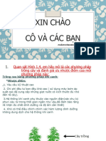 Bản Trình Bày