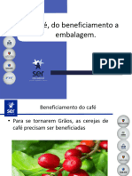 Cafe Do Beneficiamento A Embalagem