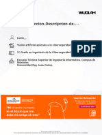 Wuolah Free Tema 3 Deteccion Descripcion de PI