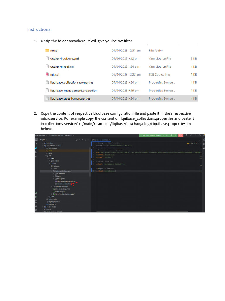 Liquibase Docker Setup Instructions | PDF