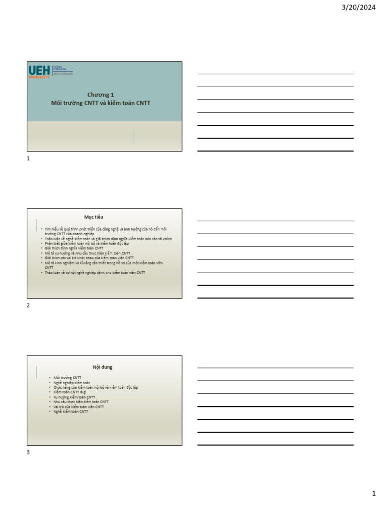 IT Audit - Chapter 1 | PDF
