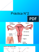 2 PRACTICA N°2  2021 endometrio 