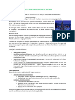 Tema 23. Atención y percepción de las caras