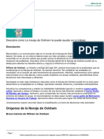 Descubre Como La Navaja de Ockham Te Puede Ayudar en Tu Trabajo