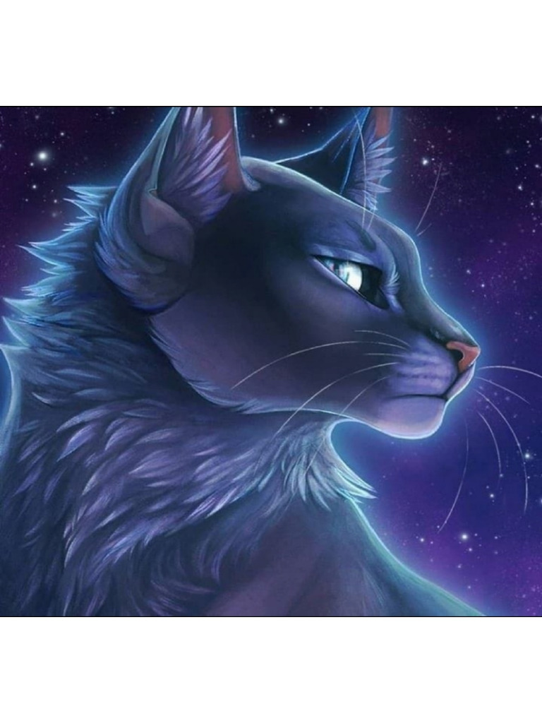 bluestar-pdf