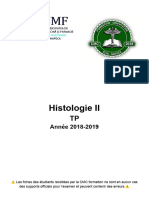 Histologie II (TP) Fiche (1), Laureen Antenor - Habazac