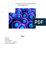 PORTFOLIO DE BIOLOGÍA MOLECULAR Y CITOGENÉTICA CORRECCIÓN