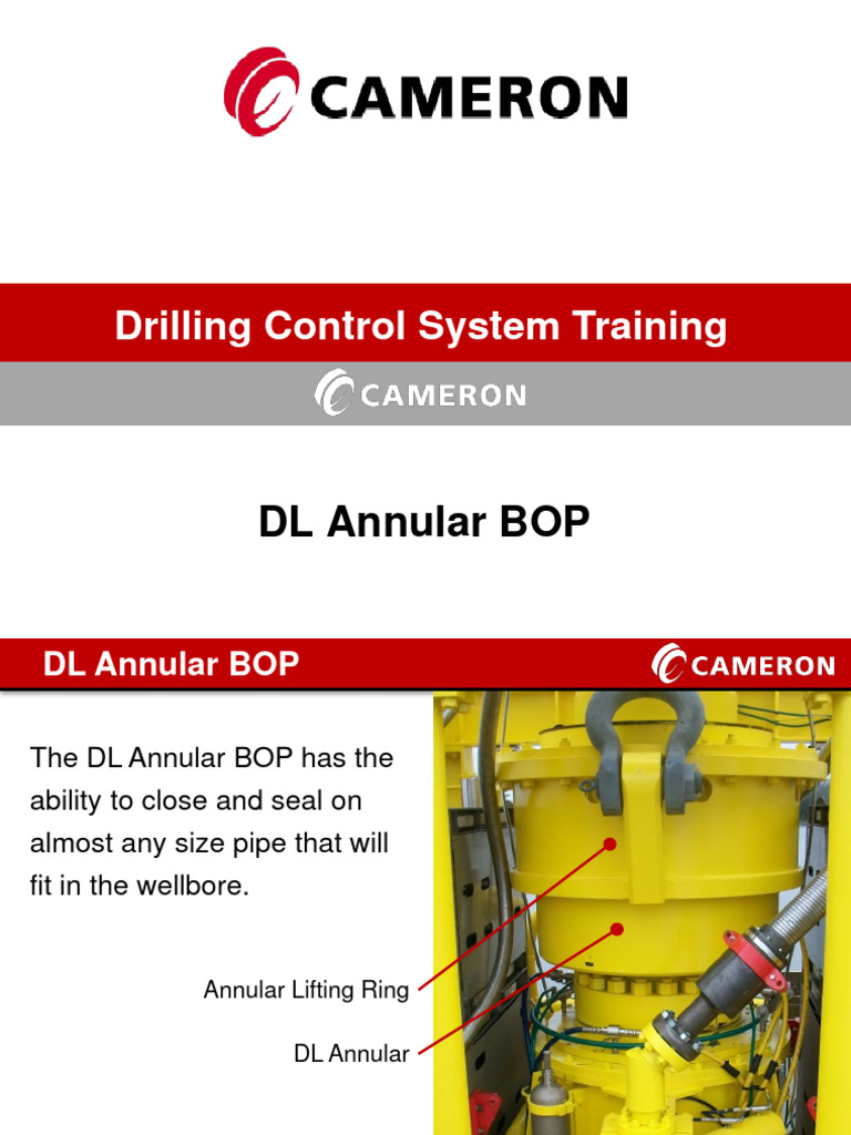 DL Annular | PDF | Gas Technologies | Mechanical Engineering