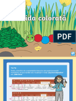 Omida Colorata - Joc PowerPoint
