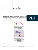 Gram Stain - Wikipedia